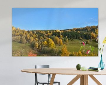 Kleurrijk herfstlandschap met felgele bomen en weiden onder een blauwe hemel