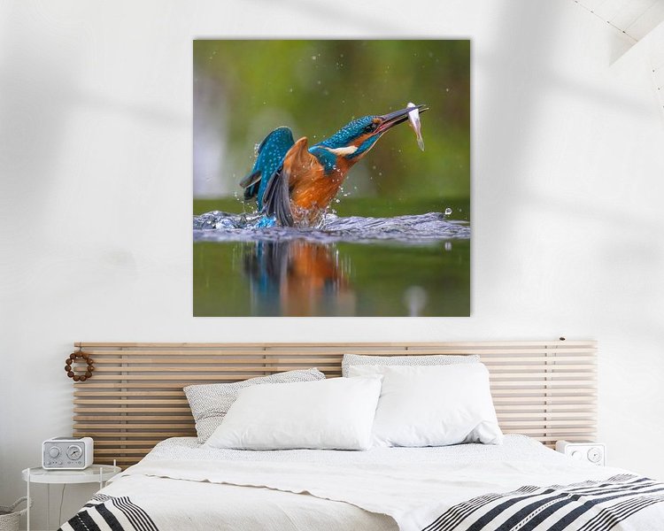 Aperçu de la chambre