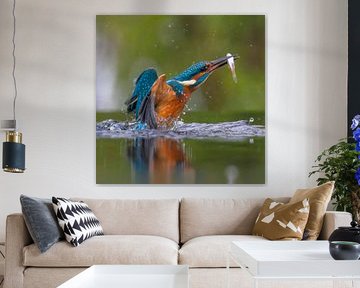 IJsvogel met vis uit het water van Lies Bakker