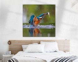 Aperçu de la chambre