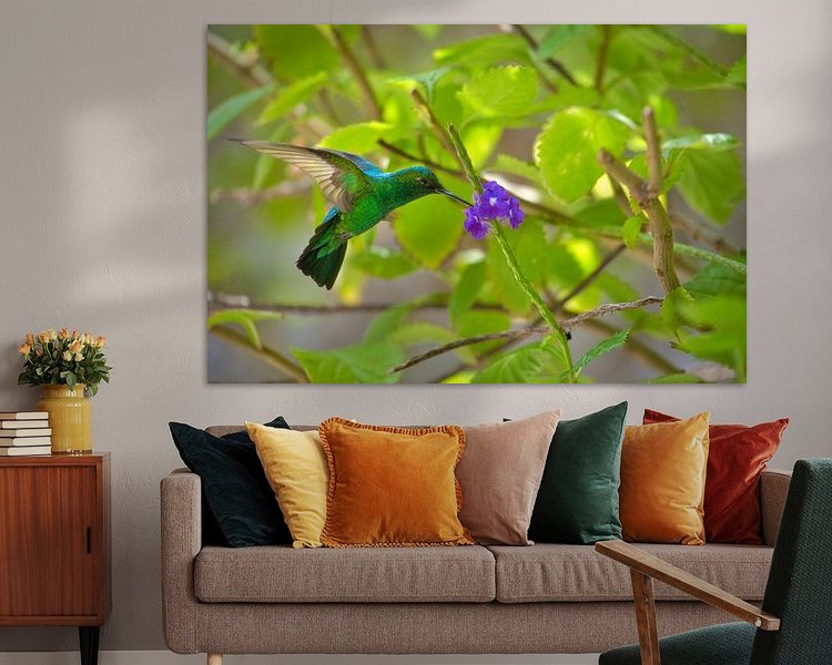 Aperçu de la chambre