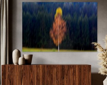 BAVARIAN FOREST 4 by Miroslav Ptacek