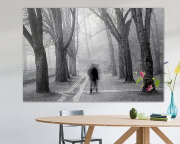 Benebelter Schlossberg Freiburg