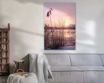 Zachte winterochtend in het Murnauer Moos in Opper-Beieren van Christina Bauer Photos