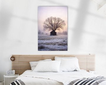 Silence dans le brouillard sur Christina Bauer Photos