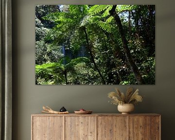 FORÊT TROPICALE 2 sur Miroslav Ptacek