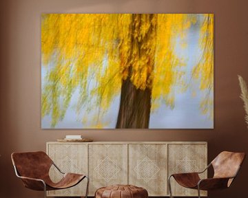 JOUR D'AUTOMNE 6 sur Miroslav Ptacek