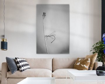 Juffer van Elke van Putten