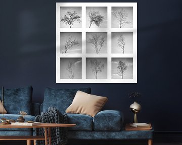 Collage von kleinen Bäumen im Winter von Ralf Gosch
