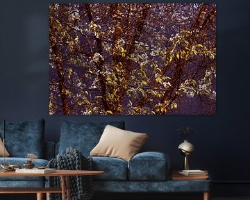 SPRING 1 by Miroslav Ptacek