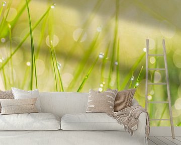 Spring freshness - dew in the grass by Judith Spanbroek-van den Broek
