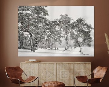 Genieten van het sneeuwlandschap