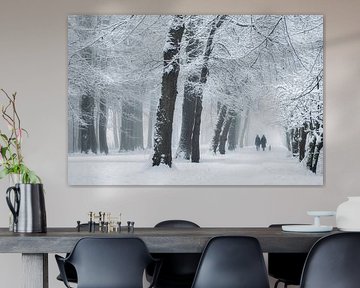 Wandelen in winterwonderland