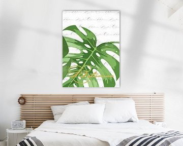 Monstera sur fond blanc avec Botanica en triptyque 3 v. 3