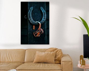 horseshoe and lock, captured luck by Vera Zuur