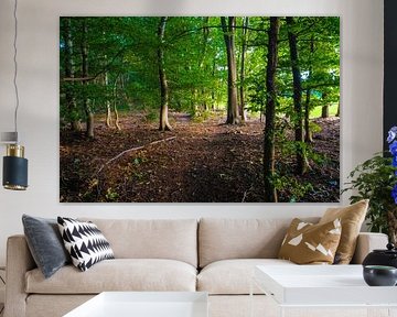 Green light by Vogelvrij fotografie