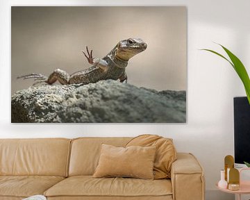 Giant lizard foot-waving by Katho Menden