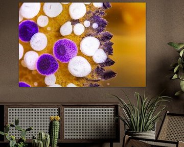 Jellyfish Constellations by LISA DC