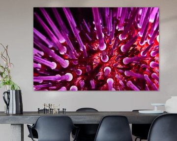 Zeegras Neon Bloom van LISA DC