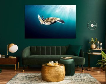 Blue Drift, Sea Turtle