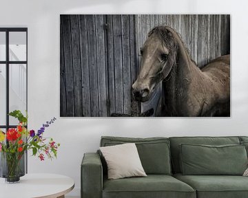 Paard von Ronald Rietveld