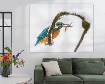 Martin-pêcheur dans la neige sur Lies Bakker