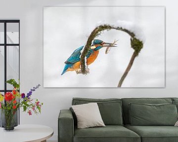 Martin-pêcheur dans la neige sur Lies Bakker