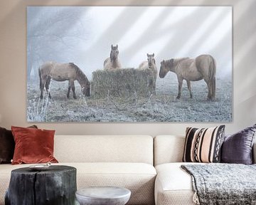 Konik-Pferde im Nebel in den Auen von Michel Seelen