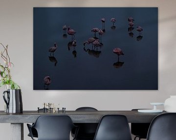 FLAMINGOS 2 by Miroslav Ptacek