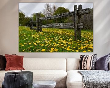 Blumen im Park im Frühling von Claude Laprise