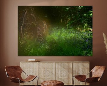 FLOWER MEADOW 7 by Miroslav Ptacek