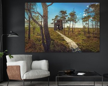 Horsnäsamossen, Nature Reserve [I] by rosstek ®