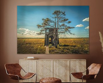 Horsnäsamossen, Nature Reserve [II] by rosstek ®