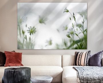 Dreamy flowers (glimpse between the delicate flowers of the Greater stichwort) by Birgitte Bergman