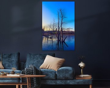 Winterabend am Teich von Bernd Tollkühn