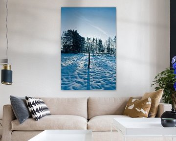 Winterse zonnewijzer