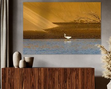 Little egret in the Charca of Maspalomas by Katho Menden