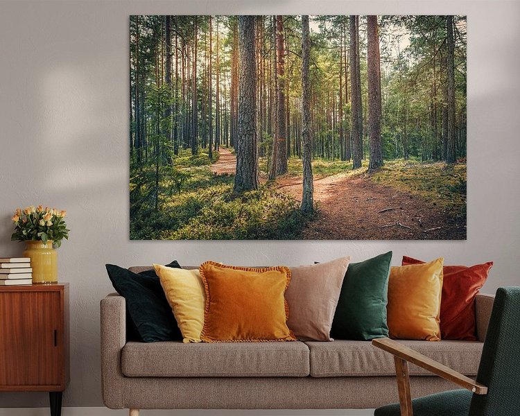 Aperçu de la chambre