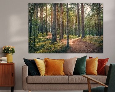 Aperçu de la chambre