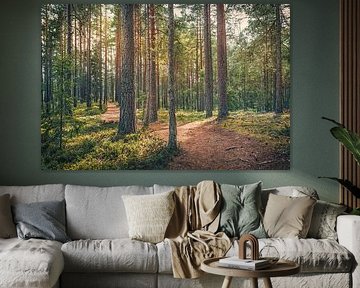 Parc national de Store Mosse [IV] sur rosstek ®