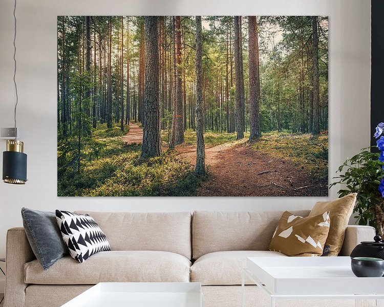 Aperçu de la chambre