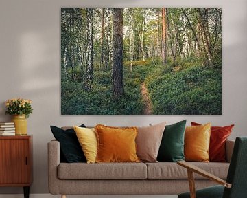 Parc national de Store Mosse [V] sur rosstek ®