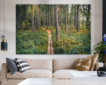 Parc national de Store Mosse [VI] sur rosstek ®