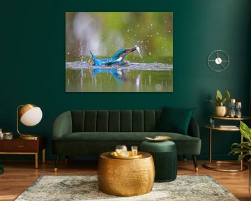 Martin-pêcheur sous l'eau sur Lies Bakker