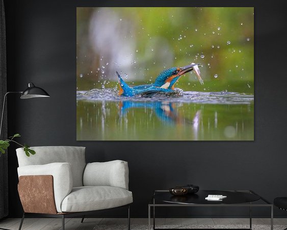 Aperçu de la chambre