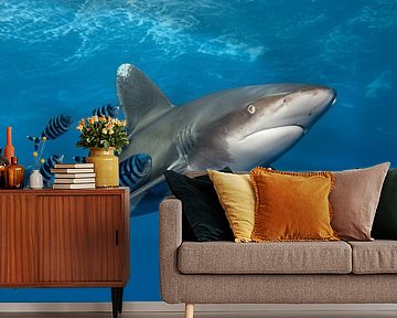 Shark on Speed by Norbert Probst