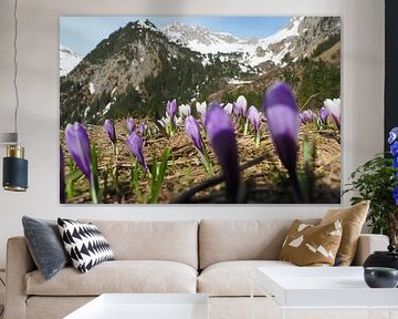 Lake Vilsalpsee in the Tannheimer Valley with its mirror-like water and alpine mountain backdrop. by Miriam Schwarzfischer Fotografie