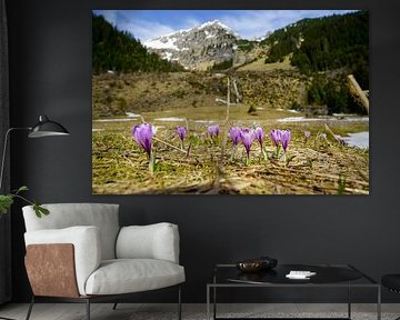 Lake Vilsalpsee in the Tannheimer Valley with its mirror-like water and alpine mountain backdrop. by Miriam Schwarzfischer Fotografie