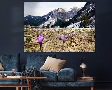 Lake Vilsalpsee in the Tannheimer Valley with its mirror-like water and alpine mountain backdrop. by Miriam Schwarzfischer Fotografie