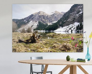 De Vilsalpsee in het Tannheimer Tal met spiegelend water en een alpenberglandschap op de achtergrond. van Miriam Schwarzfischer Fotografie